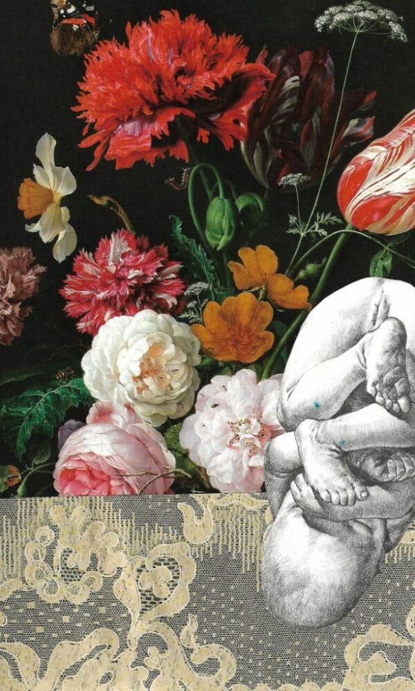 Still Life Lace - Birth 3